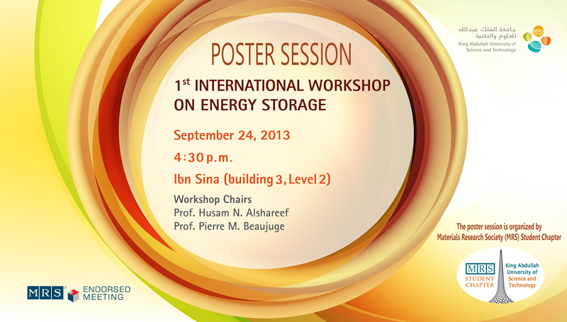 Poster Session of the1st International Workshop on Energy Storage